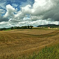 Blick zur Waldecker Burg mit unserem Hof