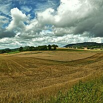 Blick zur Waldecker Burg mit unserem Hof