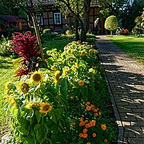 Garten in Lehde