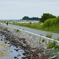 Damm zwischen Avernake und Korshavn