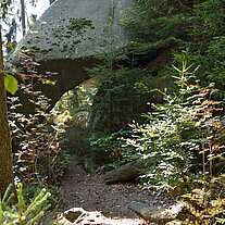 Beim Abstieg am Kibitzstein