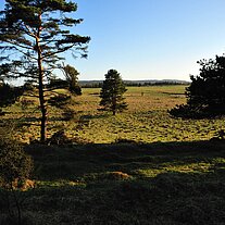 alte Kulturlandschaft