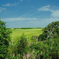 Dünenlandschaft Kobbeduinen
