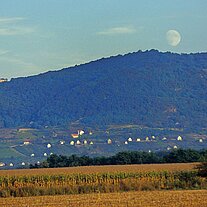 Mondaufgang mit Maisfeld