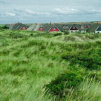 Ferienhäuschen mit Reetdach