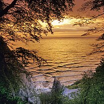 Kreidefelsen am Königsstuhl