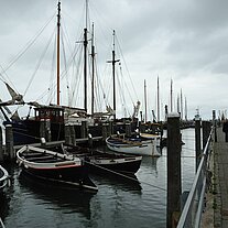 im Hafen von Terschelling