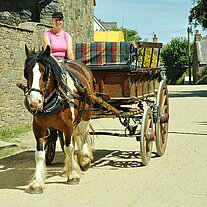 Frau mit Pferdekutsche