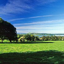 Poulaphouca Reservoir Seenlandschaft