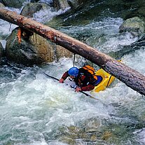 Kajakfahrer unter Baumstamm