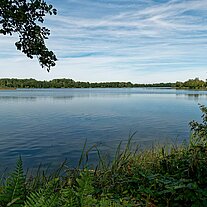 Inselteich an der Spree