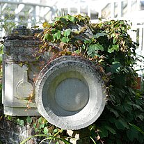 Fotoapparat überwuchert