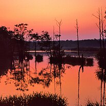 See im roten Abendlicht