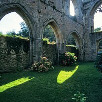 Abbaye de Beauport Hauptschiff Rasen