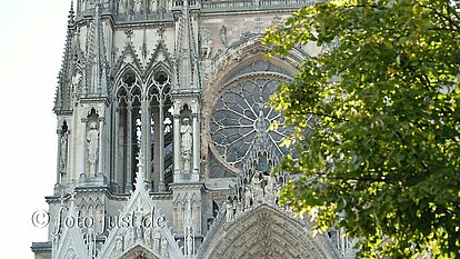 Kathedrale mit Baum davor