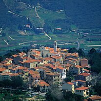 Blick auf San Piero in Campo