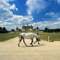 Mädchen führt ein Pferd vor dem Schloss