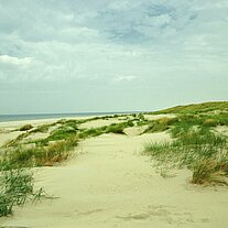 Stranddünen