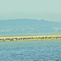Vogelkolonien am Geller Haken