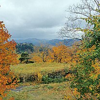 Herbst bei Silberberg