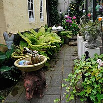 Hinterhof im Kuriositätenladen