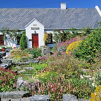 Garten mit Haus