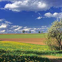 Nachmittag bei Pichlberg