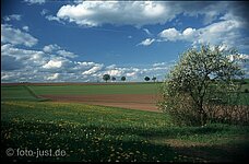Nachmittag bei Pichlberg