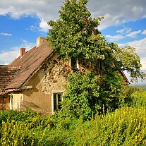 Die Natur holt sich Birkenreuth