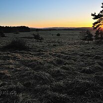 am Morgen bei Höhenberg