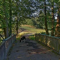 Brücke über den Grenzbach mit Leo