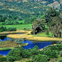 Flußtal bei Ostriconi