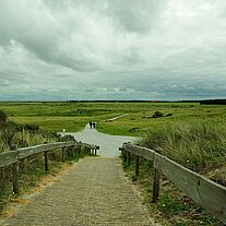 Weg durch die Dünen