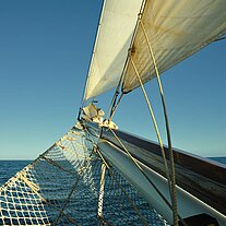 Blick aus dem Klüvernetz