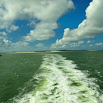 wir ziehen unsere Spur nach Harlingen