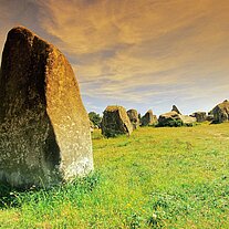 einzelner Stein les alignments de Carnac