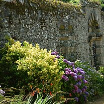 Mauer mit Bepflanzung