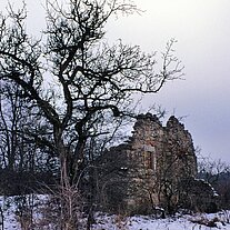 Hausruine mit Baum