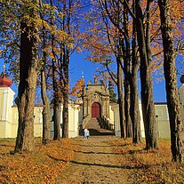 Allee zum Kloster Grulich