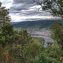 Das Moseltal vom Calmont aus