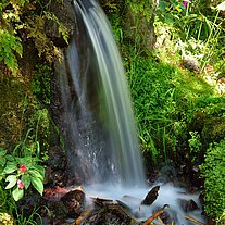 Wasserfall am Koi-Becken