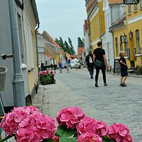 Strasse in Aeroskobing mit Blumen