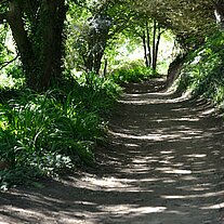 Weg von der Belvoir Bay