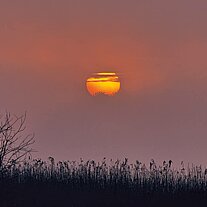 aufgehende Sonne am See