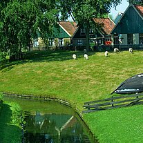 Kanal mit Häusern und Deichschafen