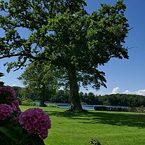 Schlossgarten am See