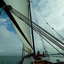 segeln im IJsselmeer